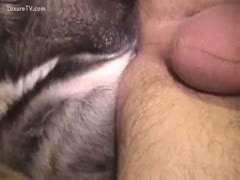 A bisexual man with a savage fucking friend